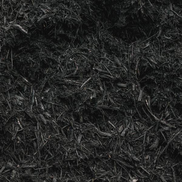 Black Mulch